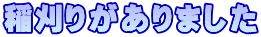 稲刈りがありました